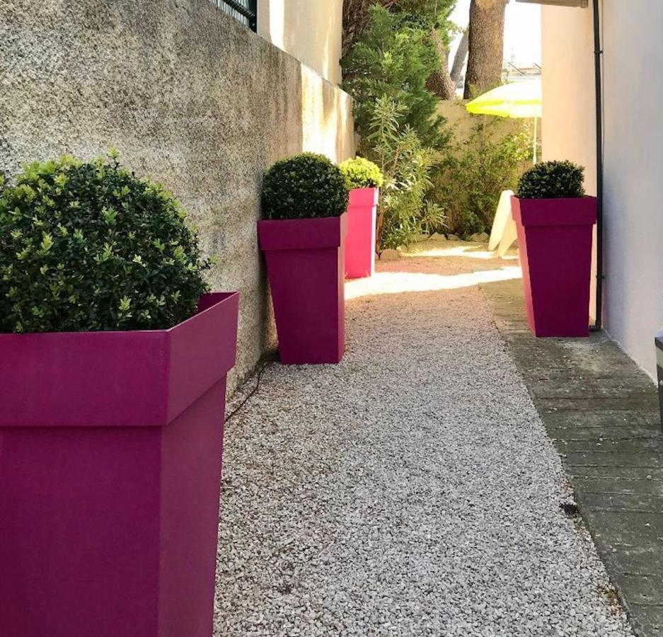 Apartment Du Golfe - Saint Jean La Ciotat